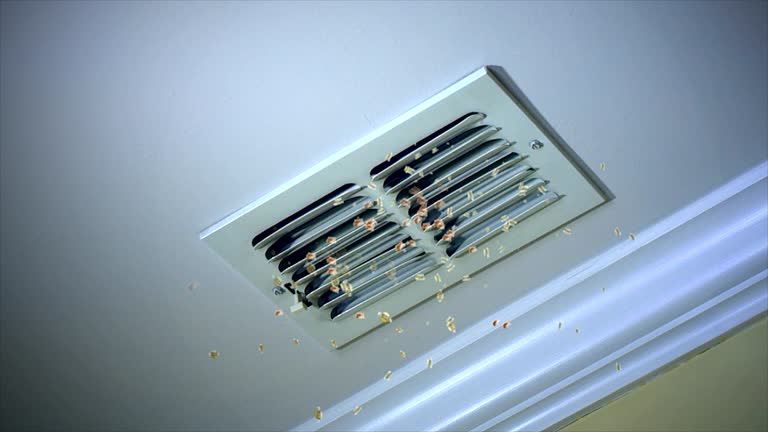 Best Residential Air Duct Cleaning  in Gibson City, IL