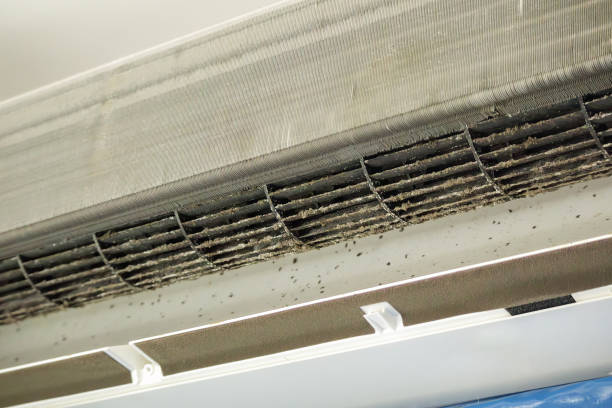 Best Emergency Air Duct Cleaning  in Gibson City, IL